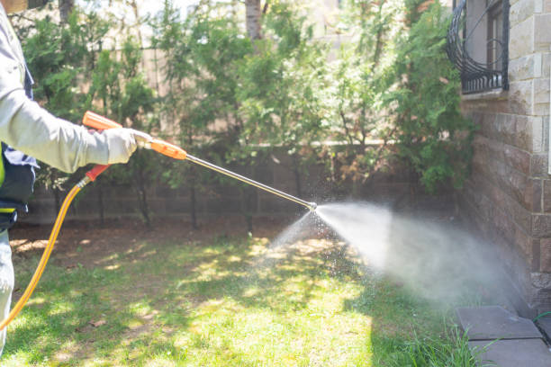 Best Best Pest Control Companies  in Clarkton, MO